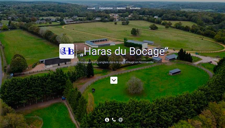 animaux-equins/haras-bocage2.jpg
