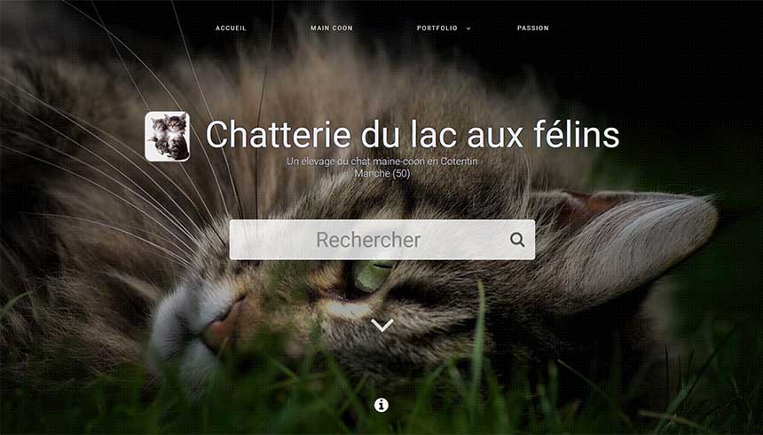 animaux-de-compagnie/lac-aux-felins.jpg